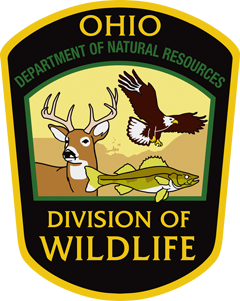 ODOW Logo